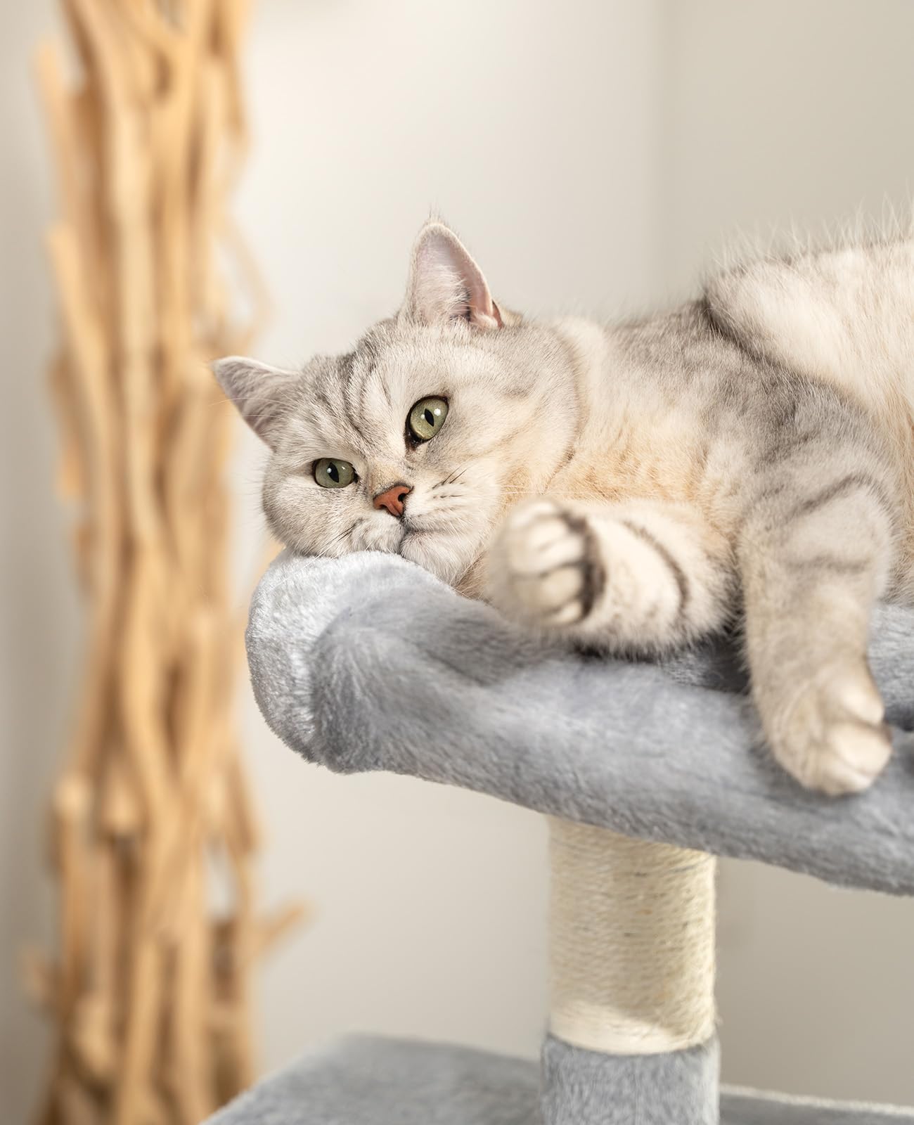 lionto Tiragraffi per Gatto Albero Tiragraffi Gatto Gioco Giocattolo Gatti Altezza 80 cm, Grigio Chiaro