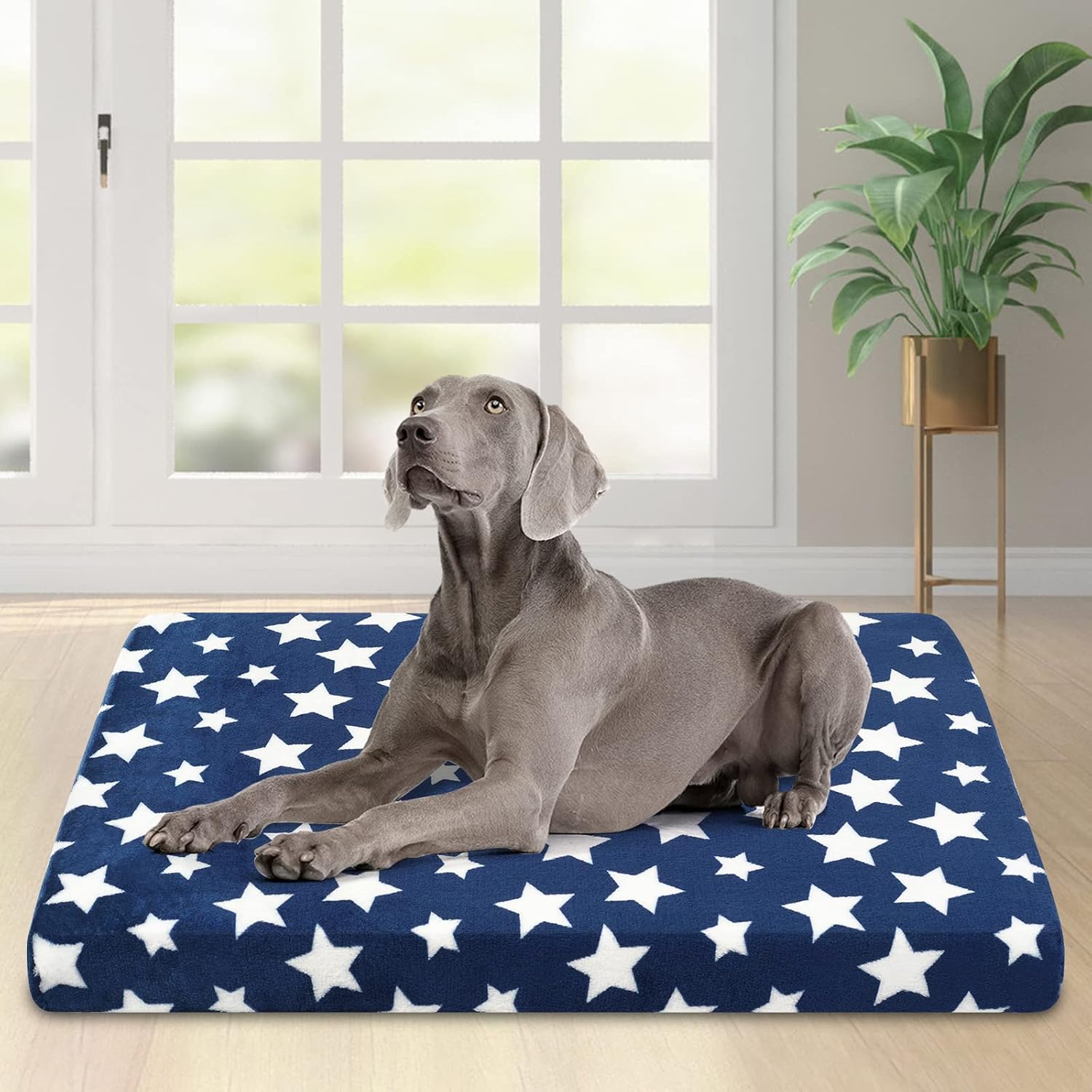 EMPSIGN Waterproof Dog Bed Crate Pad, Dog Bed Mat Reversible (Cool & Warm), Removable Washable Cover, Waterproof Liner & High Density Foam, Pet Bed Mattress for Small to XX-Large Dogs, Navy, Star