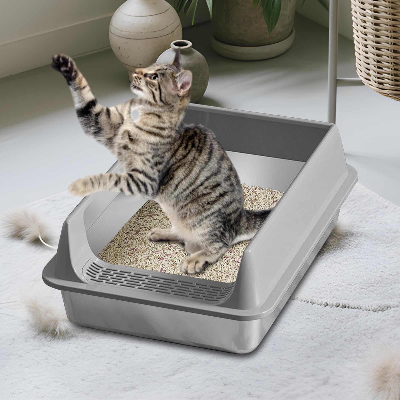 Lettiere Gatti Cassetta Gatti Antifuga Urina Antiaderente Piccola/a | per Lettiera per in Acciaio Inossidabile Antischizzo Animali Domestici Piccoli Grandi Appartamento