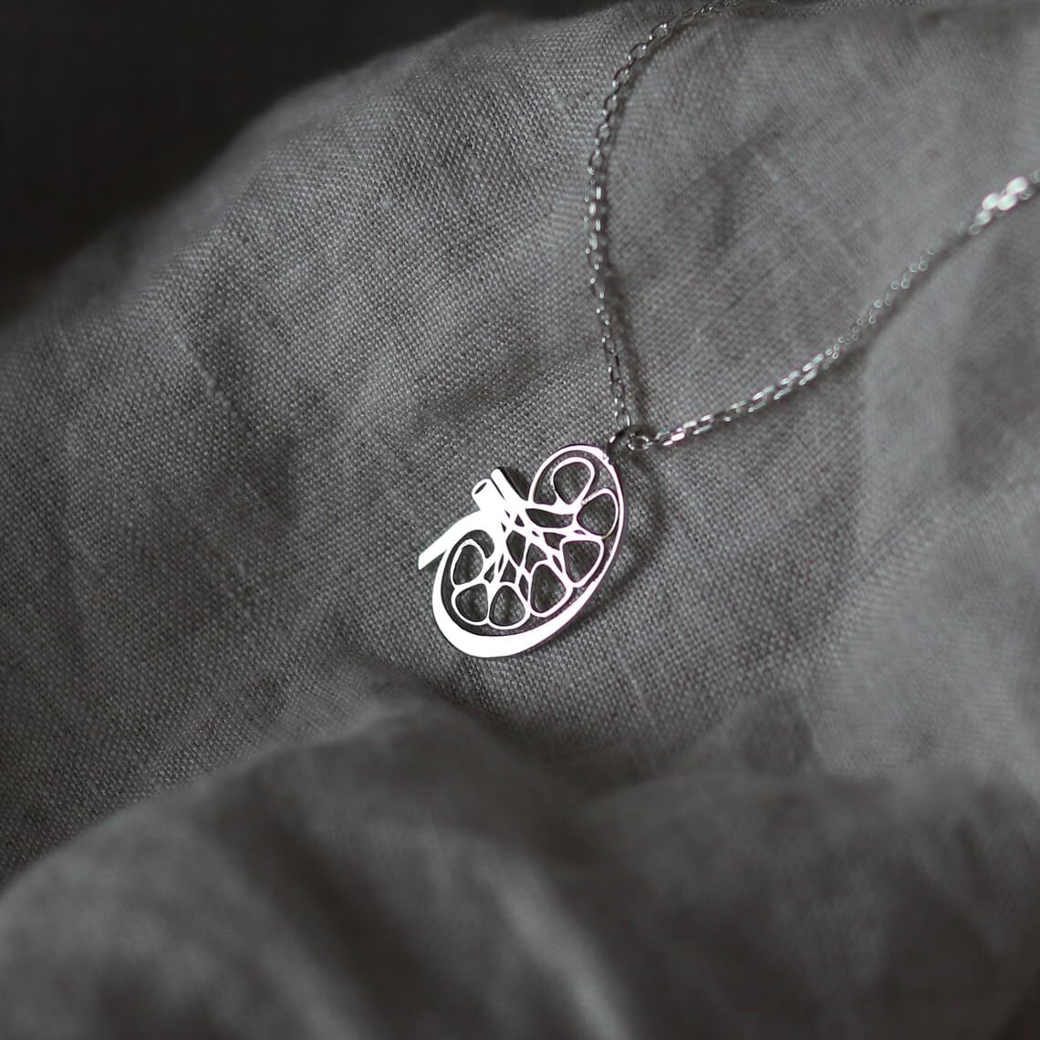 Kidney Anatomy Silver Pendant Human Organ jewellery Handcut pendant for her Biology jewelry Kidney necklace Gift for Doctor's Jewelry Craft, Mom, Father, Best Empoly