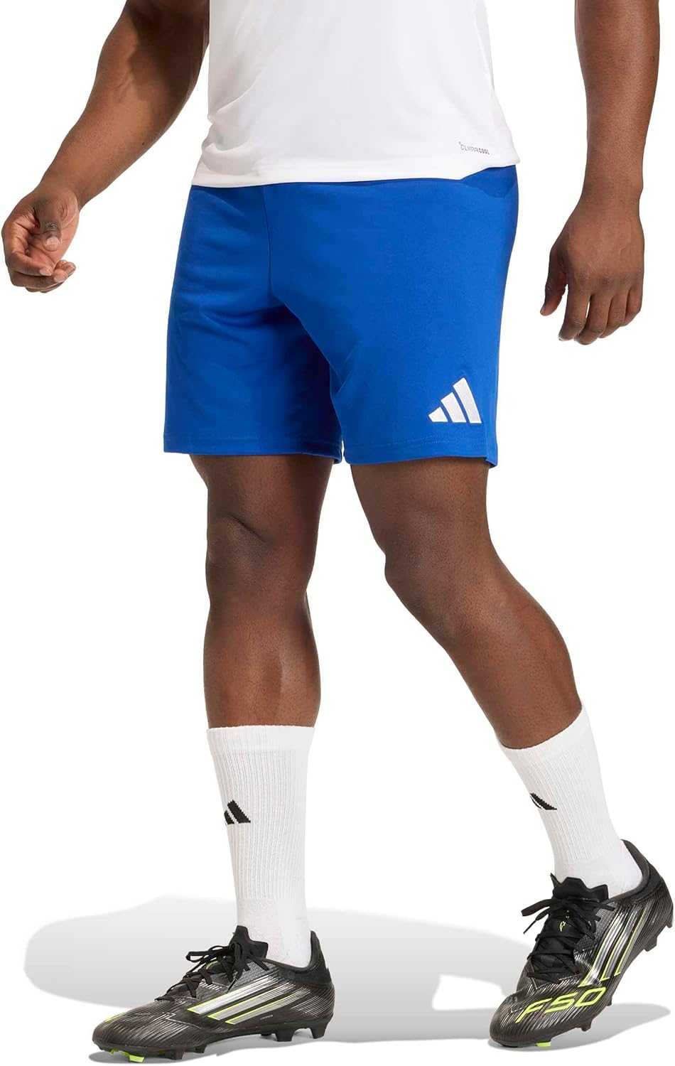 adidas Mens Entrada 26 Shorts