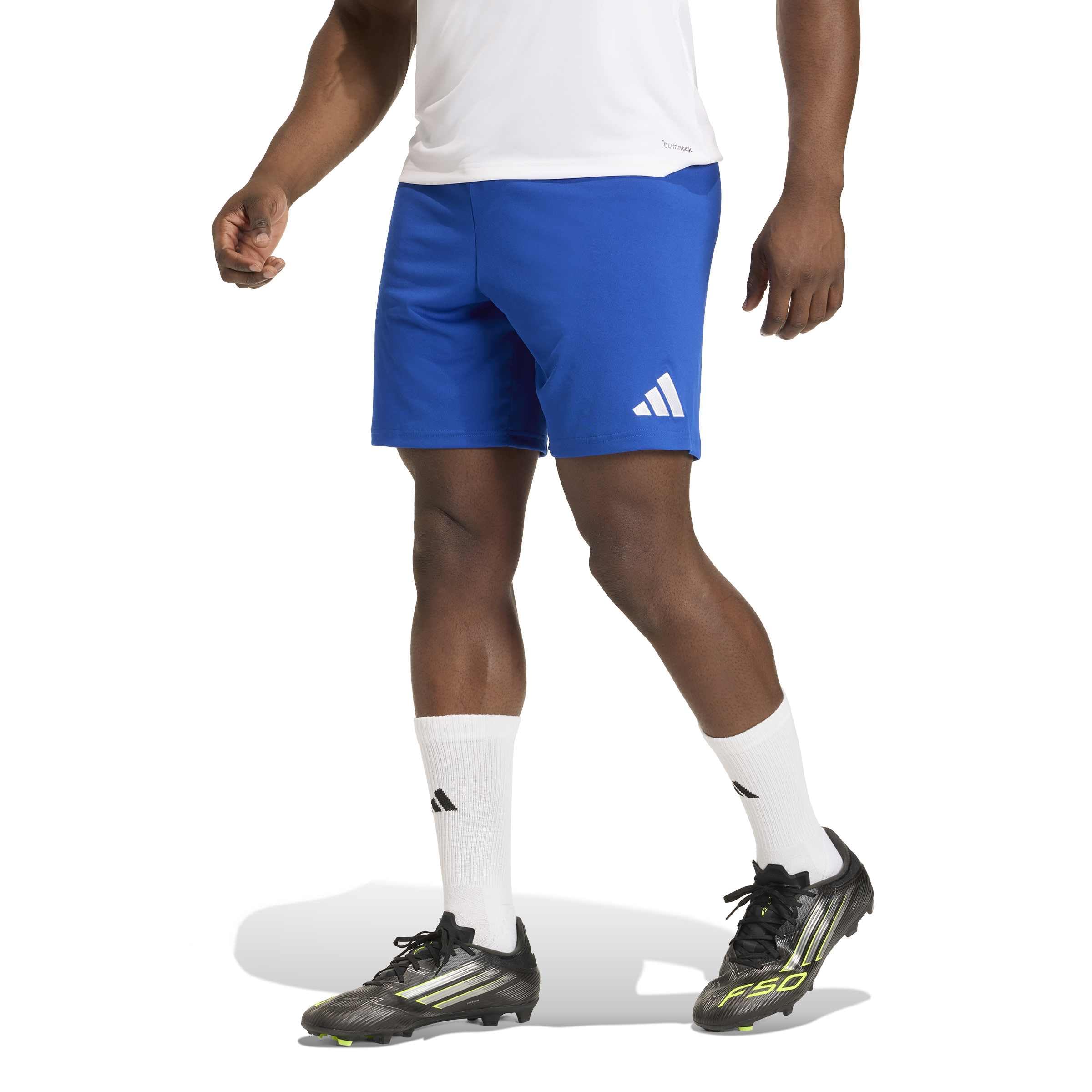 adidas Men's Entrada26 Shorts, Team Royal Blue/White, XS