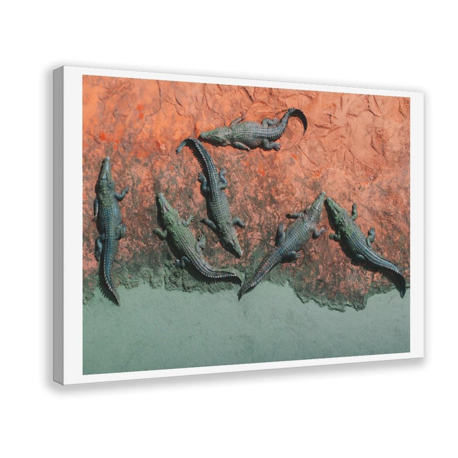 HEYANM Crocodiles Broome Print Western Australia Wild Animal Canvas Poster Bedroom Office Room Decor Gift Frame 20x30inch
