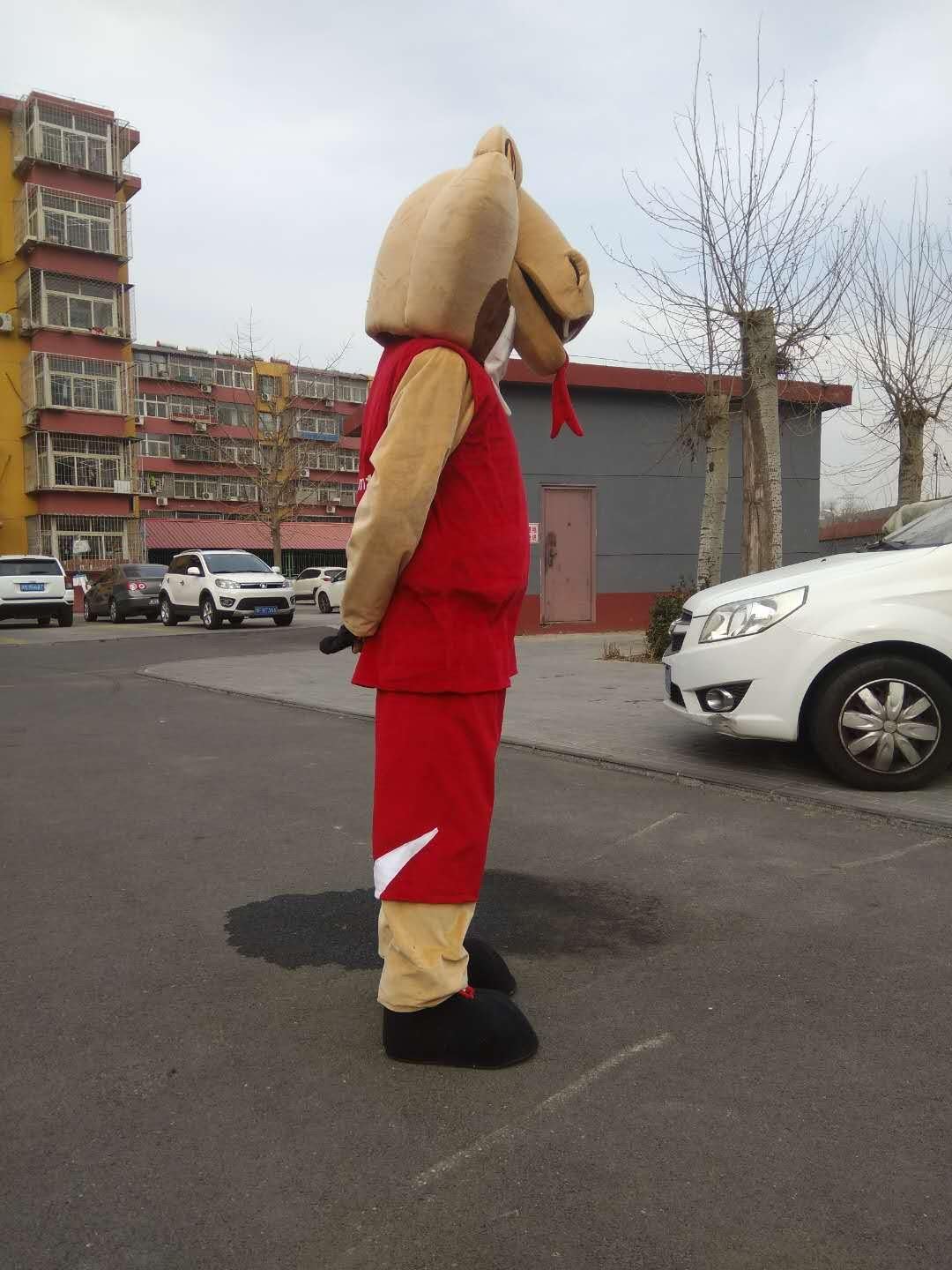 Sport snake Mascot Costume Cartoon Character Adult Sz Real Picture