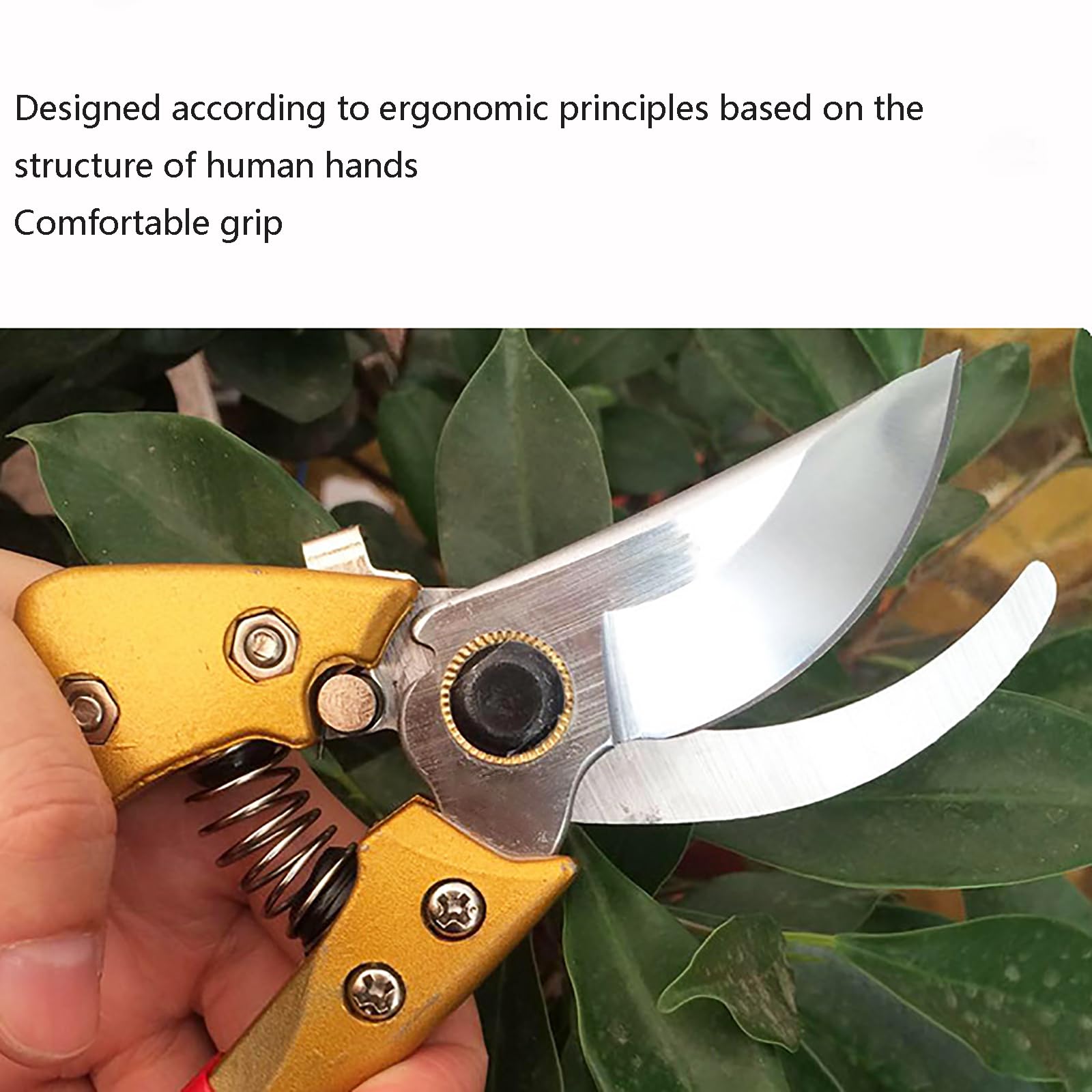 Cesoie da Giardinaggio Forbici da Giardino Professionali per Giardino, Bonsai, Fiori, Piante, bambù, Frutta, Rami D'Albero, Vigneti, Lama in Acciaio Red,L