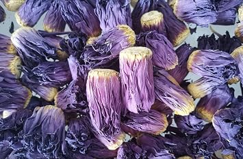 Dried Flower Egyptian Natural Blue Lotus Lotus Lotus Herbal Tea and Flower Material Handmade Craft Set