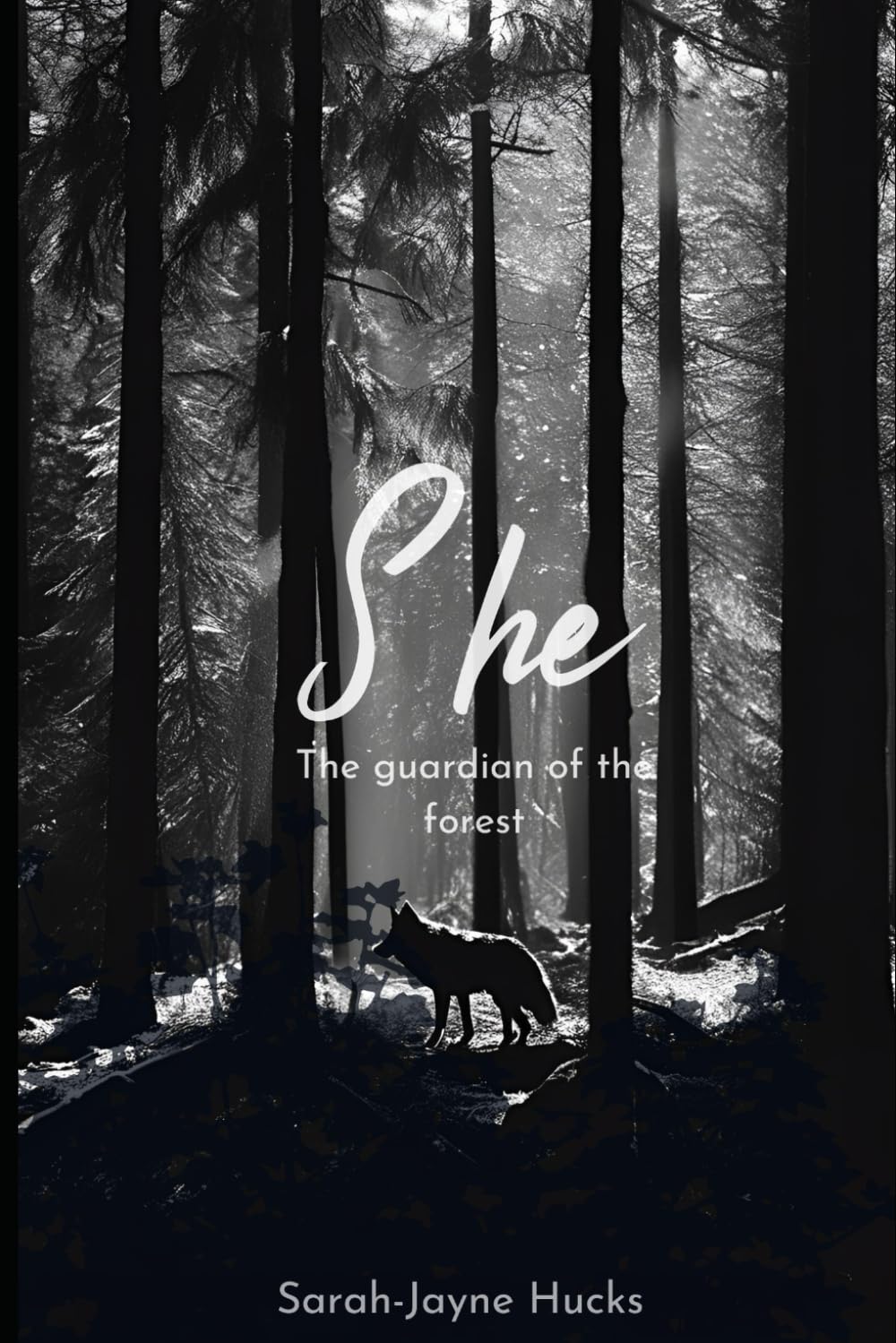 She: The Guardian of the forest

Amazon.Com Rank: N/A

Click here to learn more or buy it now!