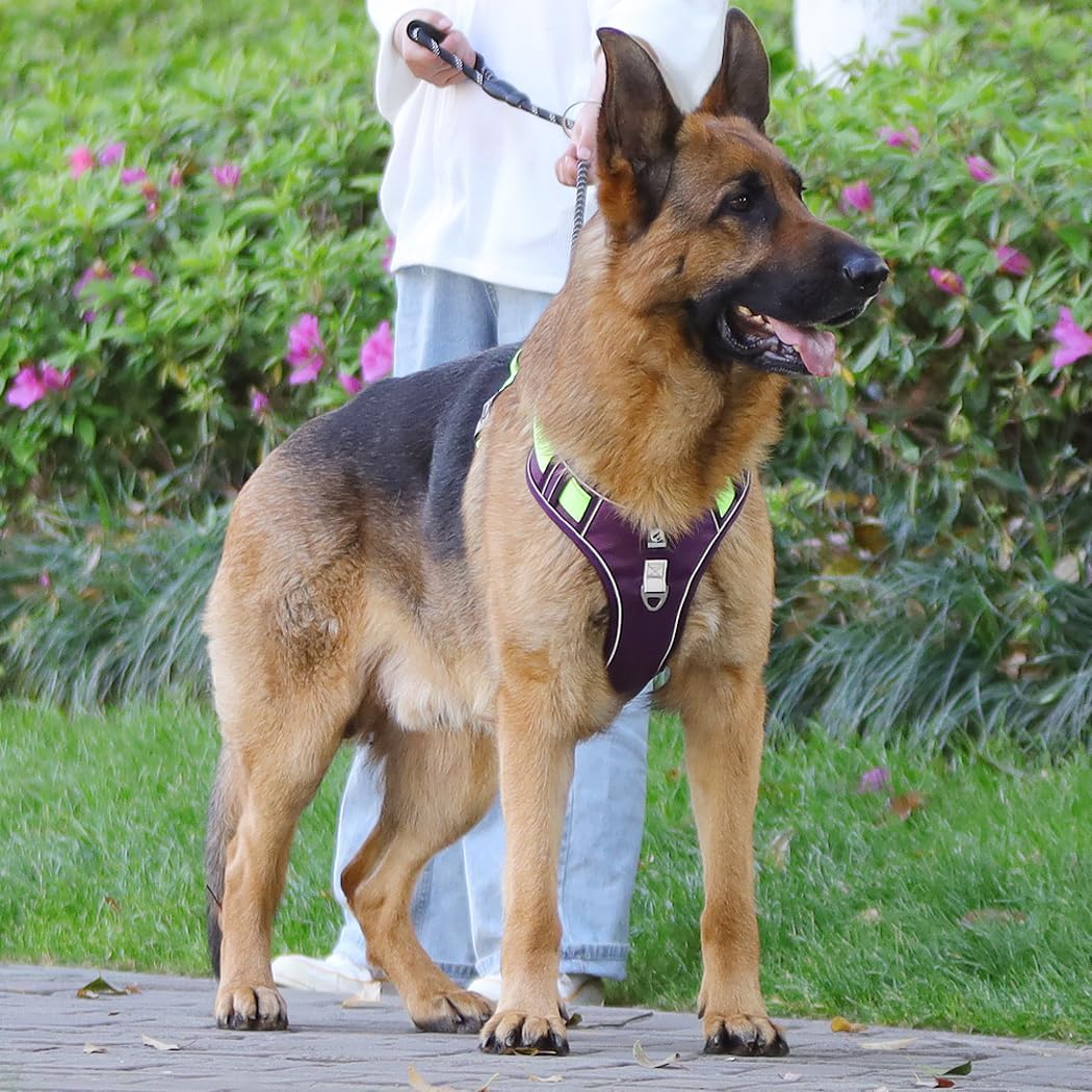 Dog Harness with Handle Tactical,No Pull Adjustable Reflective Military Dogs Vest for Labrador Retriever,Husky, German Shepherd Dog (Purple, Large)