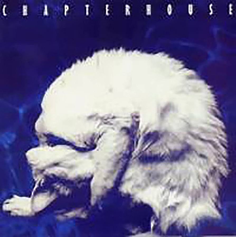 貴重 UKオリジナル盤 レコード Chapterhouse Whirlpool Whirlpool: The Original Recordings | Chapterhouse | Space