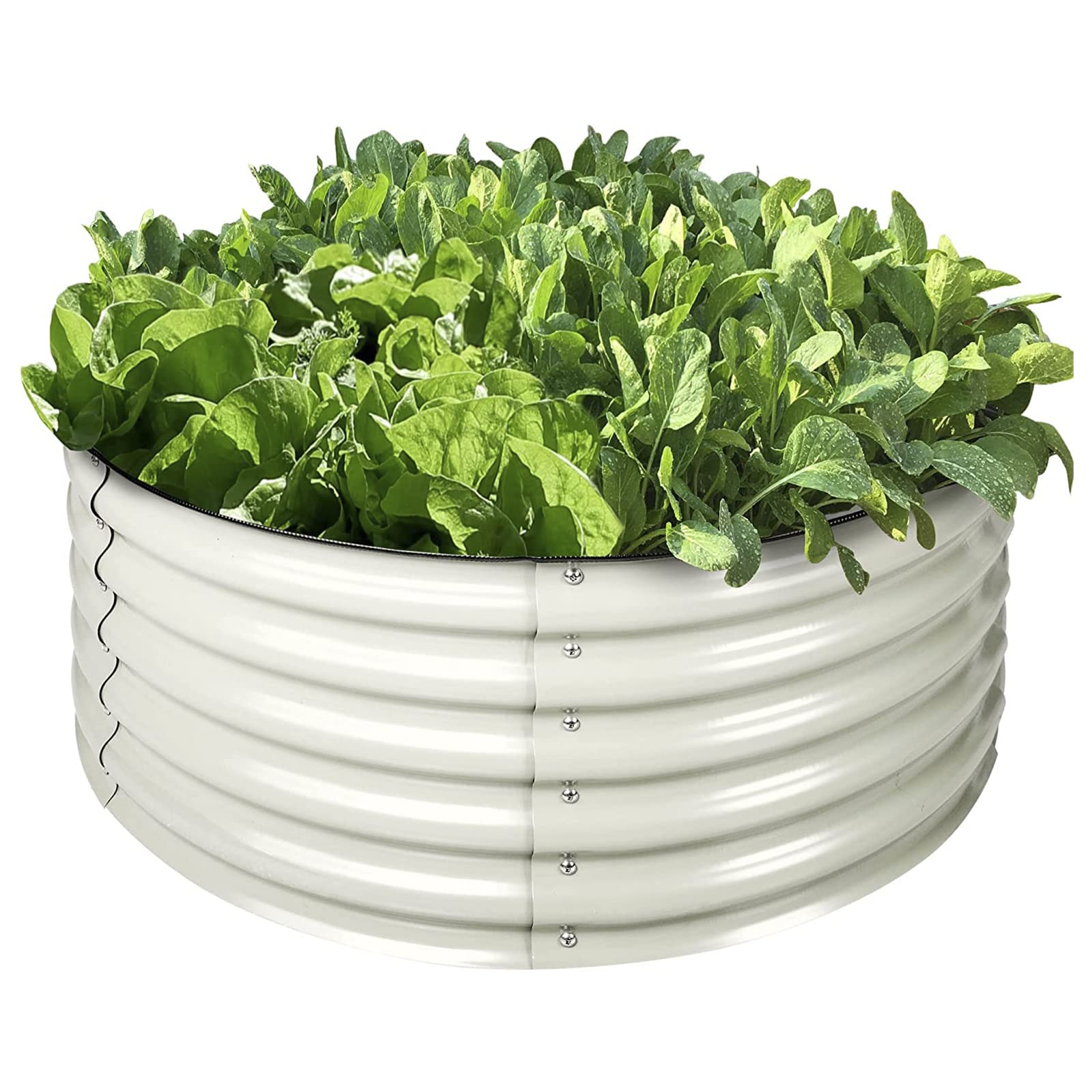 Letti per Orto Rialzati in Acciaio Colorato, Fioriera Girare Grande in Metallo da 43 cm, 107x107cm Fioriera da Giardino da Esterno per Erbe, Verdure E Fiori, Resistente alla Putrefazione,Avorio