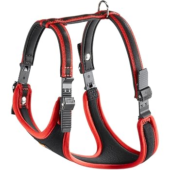 ferplast dog harness