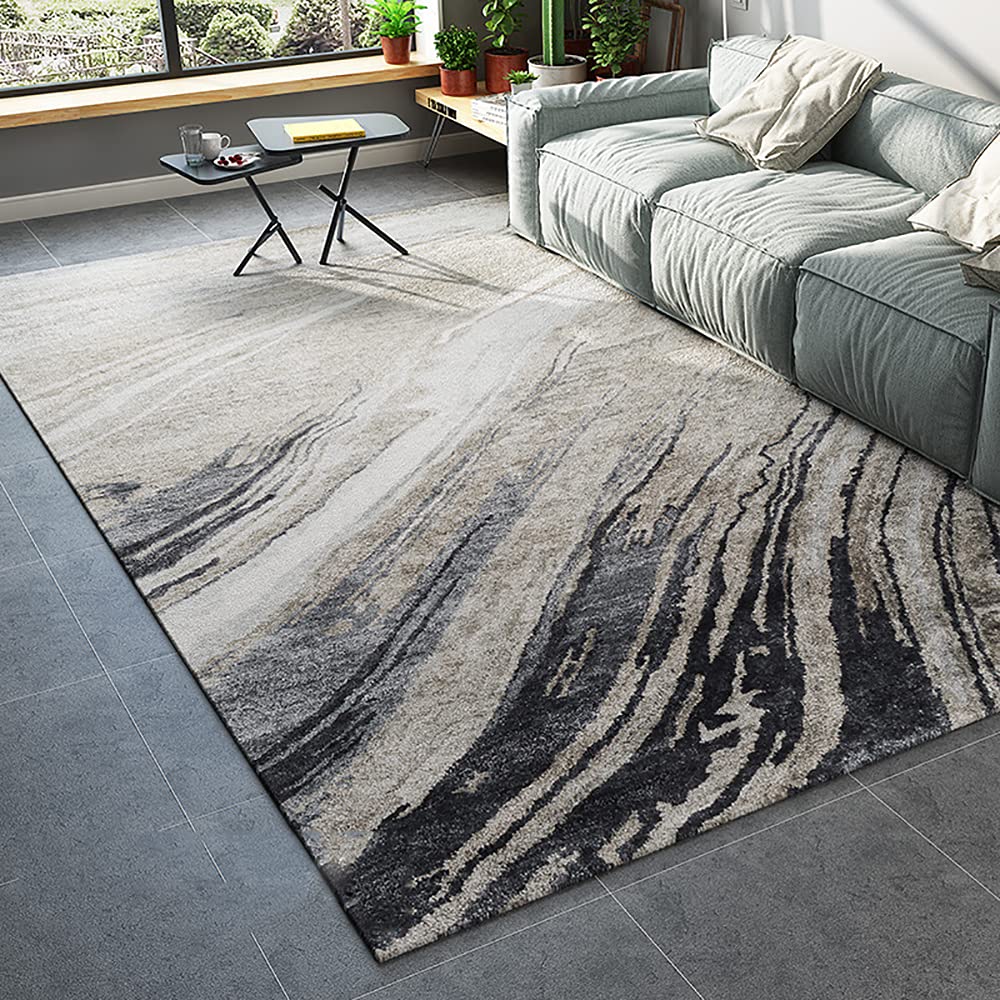 Tapis de salle à manger lavable en machine Ruby Lil, grand tapis d'accent moderne 6,6x9,8m