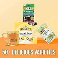 Vista 544 de Twinings Blackcurrant Breeze - Té negro, 6 paquetes de 20 unidades, bolsas de té envueltas individualmente, dulce, sabor picante, con cafeína