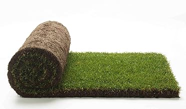Real Lawn Ready to Roll 15 sqm 1st Choice of Natural Grass, NO Synthetic Synthetic (30 Rolls) for Garden