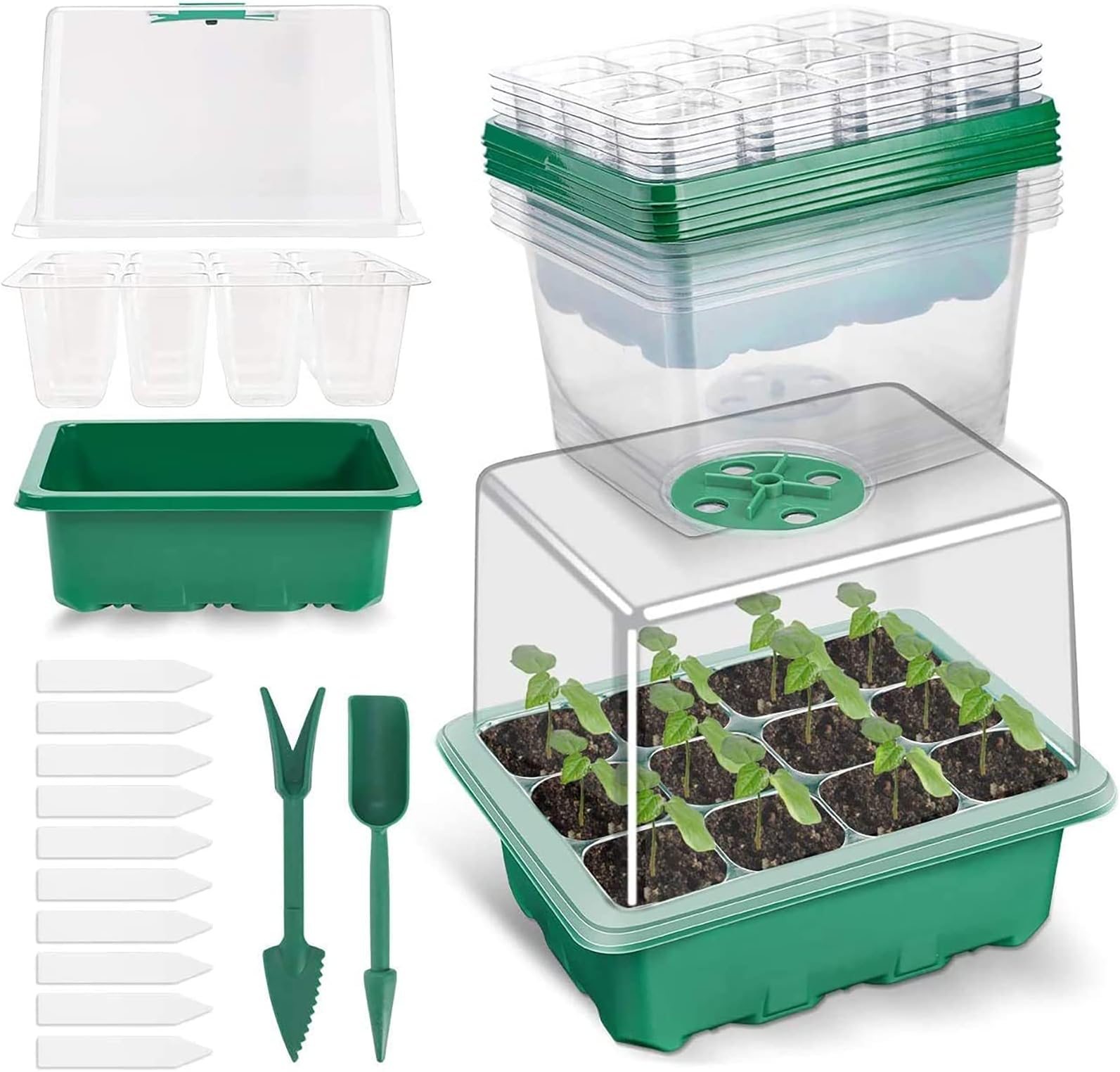 5 Pack 60 Cells Seed Trays with Lids Propagators for Plants Seed Propagators with Lids Plant Seedling Trays for Seed Planting Windowsill Propagator Mini Indoor Greenhouse Garden