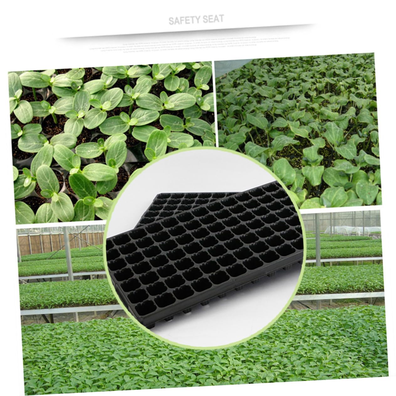 Vassoi e Protezione Contro Marciume Radicale 105 Celle Forate 10 Pezzi per Semina in PVC Ventilazione Ottimale per Coltivazione Indoor e Balcone