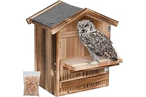 Owl Nest: Safeguard Your Nocturnal Neighbors with Our Weatherproof Owl House