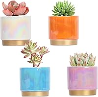 Gepege Succulent Pots Set of 4 - Ceramic Indoor Plant Planters with Drainage Holes, Rainbow Pearlescent Glaze for Stylish Home Decor