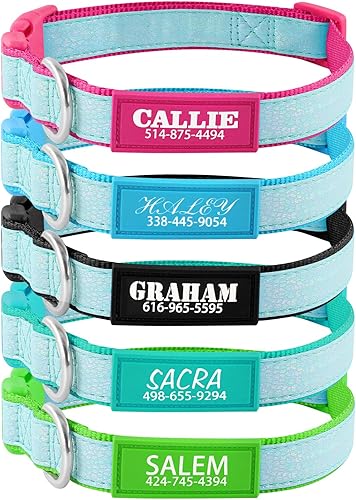 Miniatura 2 de Collares de perro personalizados para perros pequeños y grandes con nombre personalizado y números de teléfono, collar luminoso ajustable que brilla