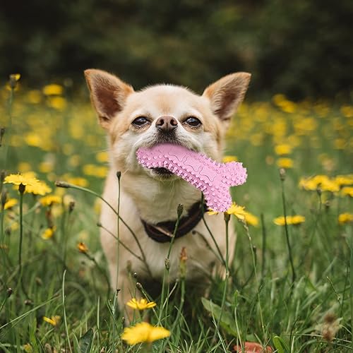 Miniatura 9 de 6 Pack Puppy Toys for Teething Small Dogs, Cute Pink Dog Chew Toys for Puppies, Soft Squeaky Dog Toys for Small Breed Cleaning Doggy Teeth, Outdoor