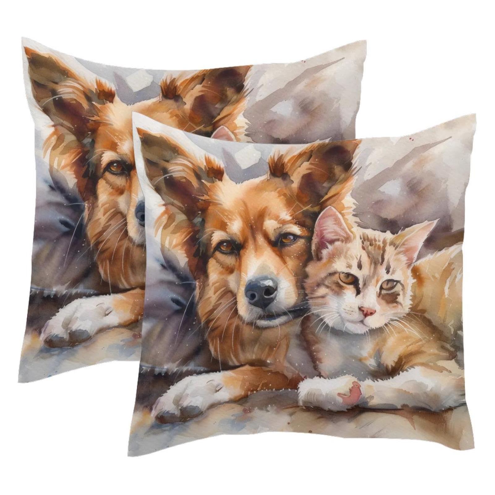 Housse de coussin velours 50x50 lot de 2 pour protéger vos divans