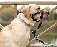 Vista 5 de Collar de cabeza de perro, acolchado con costuras reflectantes para perros pequeños, medianos y grandes, evita el problema de tirones pesados