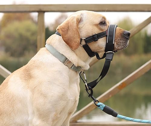 Miniatura 5 de Collar de cabeza de perro, acolchado con costuras reflectantes para perros pequeños, medianos y grandes, evita el problema de tirones pesados,