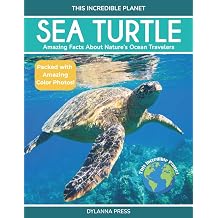 Sea Turtle Amazing Facts about Natures Ocean Travelers This Incredible Planet