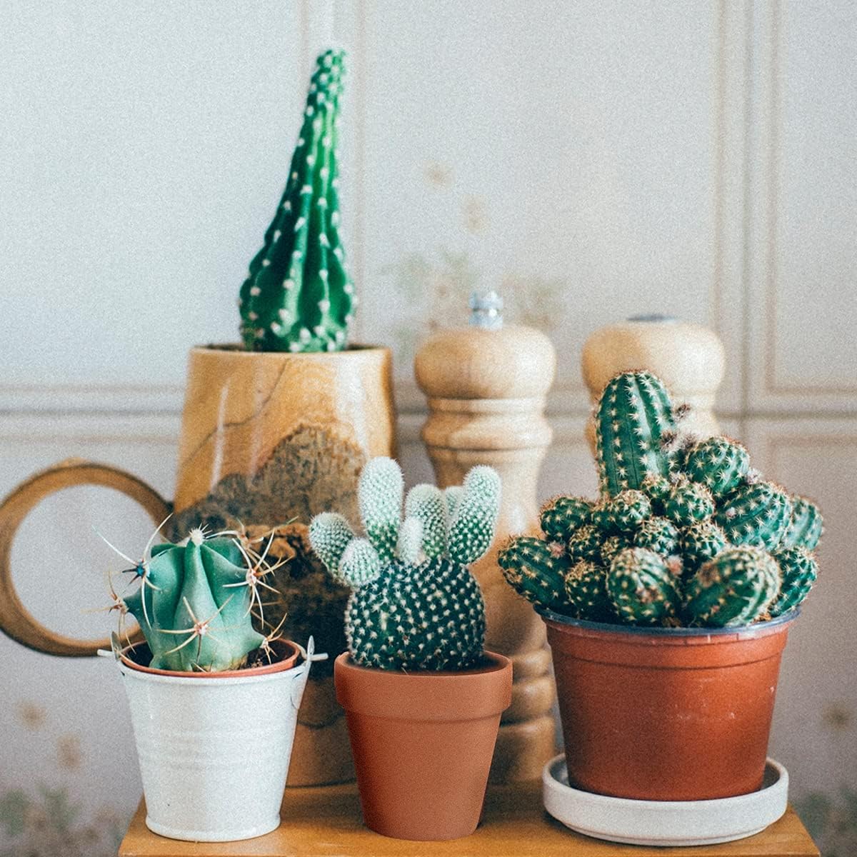 Sderoq 3 Inch Terracotta Pots - 22Pack Clay Flower Pots with Drainage Hole, Succulent Nursery Pot/Cactus Plant Pot. Great for Plants, Crafts, Wedding Favorn, DIY Production