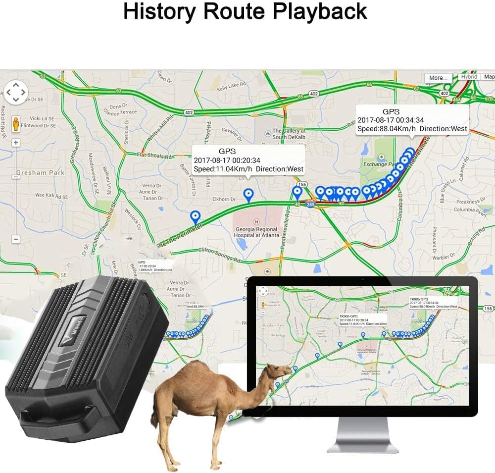 Localizzatore GPS per collare di bestiame 4G con collare regolabile, localizzatore GPS per animali IP66 impermeabile, batteria 3000 mAh, Geovalla, app/web, percorsi 180 giorni per mucche, pecore e