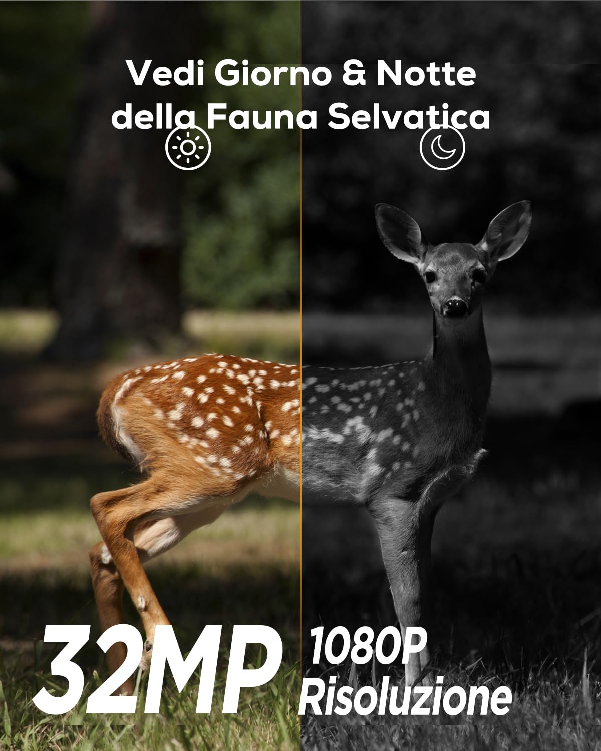 iZEEKER Fototrappola, 32MP HD Fotocamera Caccia con LED a Infrarossi Invisibili 940nm, Visione Notturna Attivata dal Movimento IP66 Impermeabile per Monitoraggio Fauna Sicurezza Interna