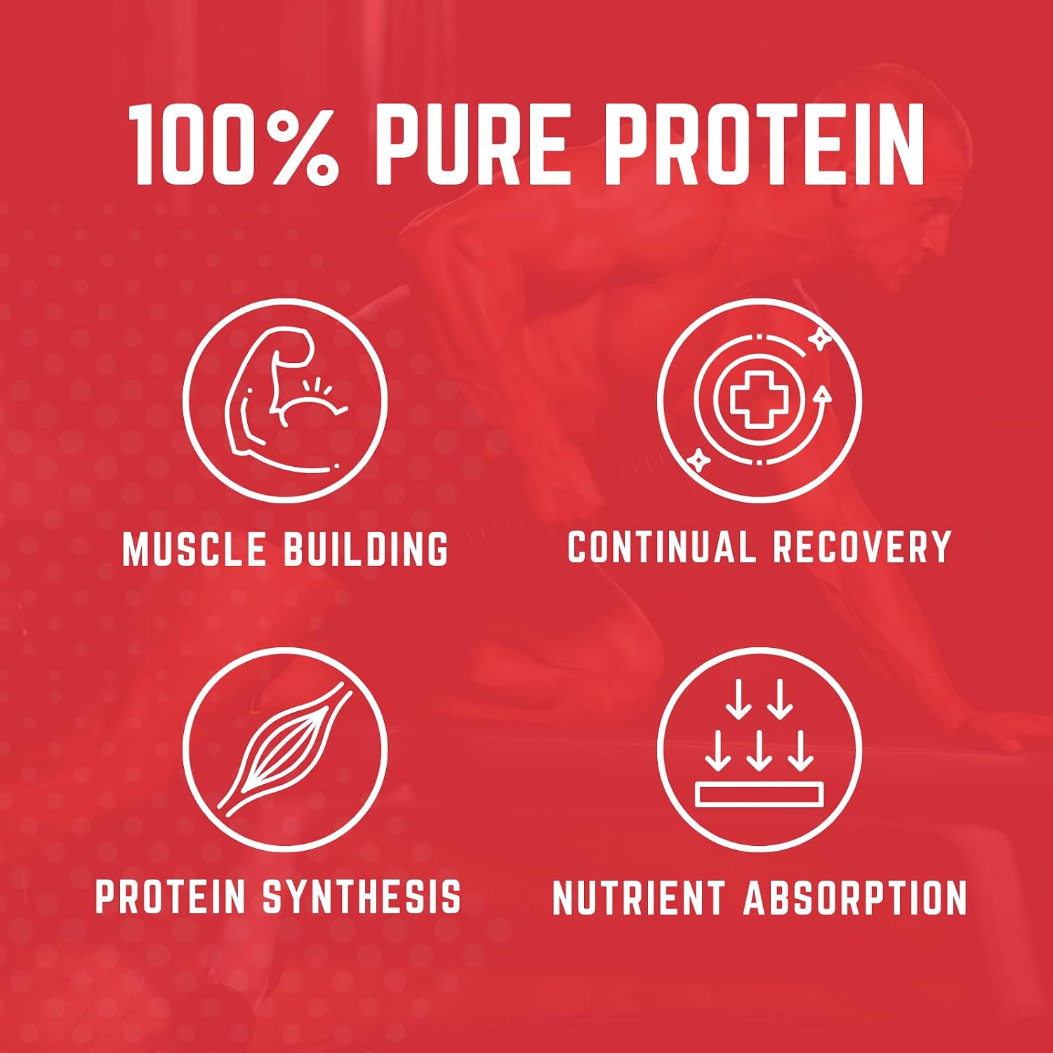 Purus Labs MyoWhey Premium Whey Protein | Instantized Whey Mixes Easily | Rich in BCAAs | 25g Protein | Keto Friendly | 25 Servings (Vanilla Ice Cream)