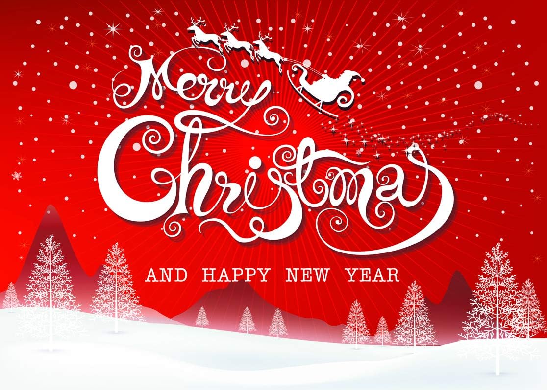 LYWYGG 10x8FT Merry Christmas Backdrops for Photography Snowflake Winter Photo Background Red Photo Happy New Year Booth Backdrop CP-86-1008