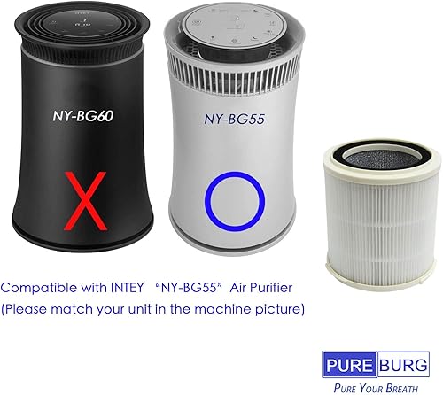 Miniatura 2 de PUREBURG Filtro de repuesto compatible con purificador de aire INTEY NY-BG55, 1 paquete H13 HEPA de 4 etapas de filtración de carbón activado de