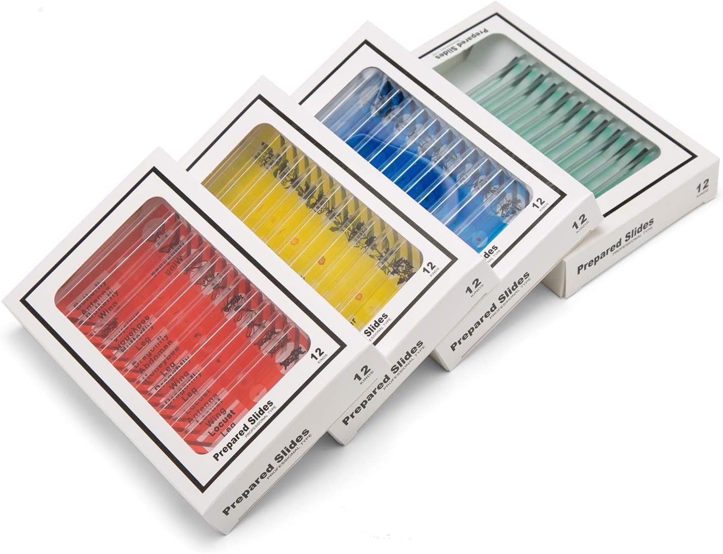 48pcs Kids Plastic Prepared Microscope Slides of Animals Insects Plants Flowers Sample Specimens for Microscopes 48 prepared slides