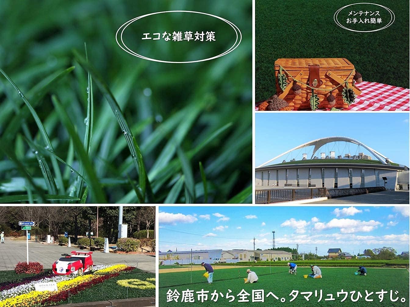 Amazon タマリュウ マット ５枚 タマリュウ専門店 草