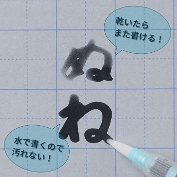 Kuretake KG205-130S Brush Pen, Water Brush, Bold
