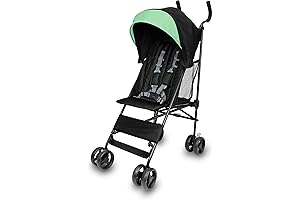 Ingenuity Smooth Stroll Convenience Stroller