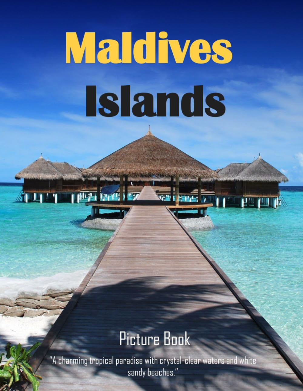 Picture Book of Maldives Islands: A Visual Journey