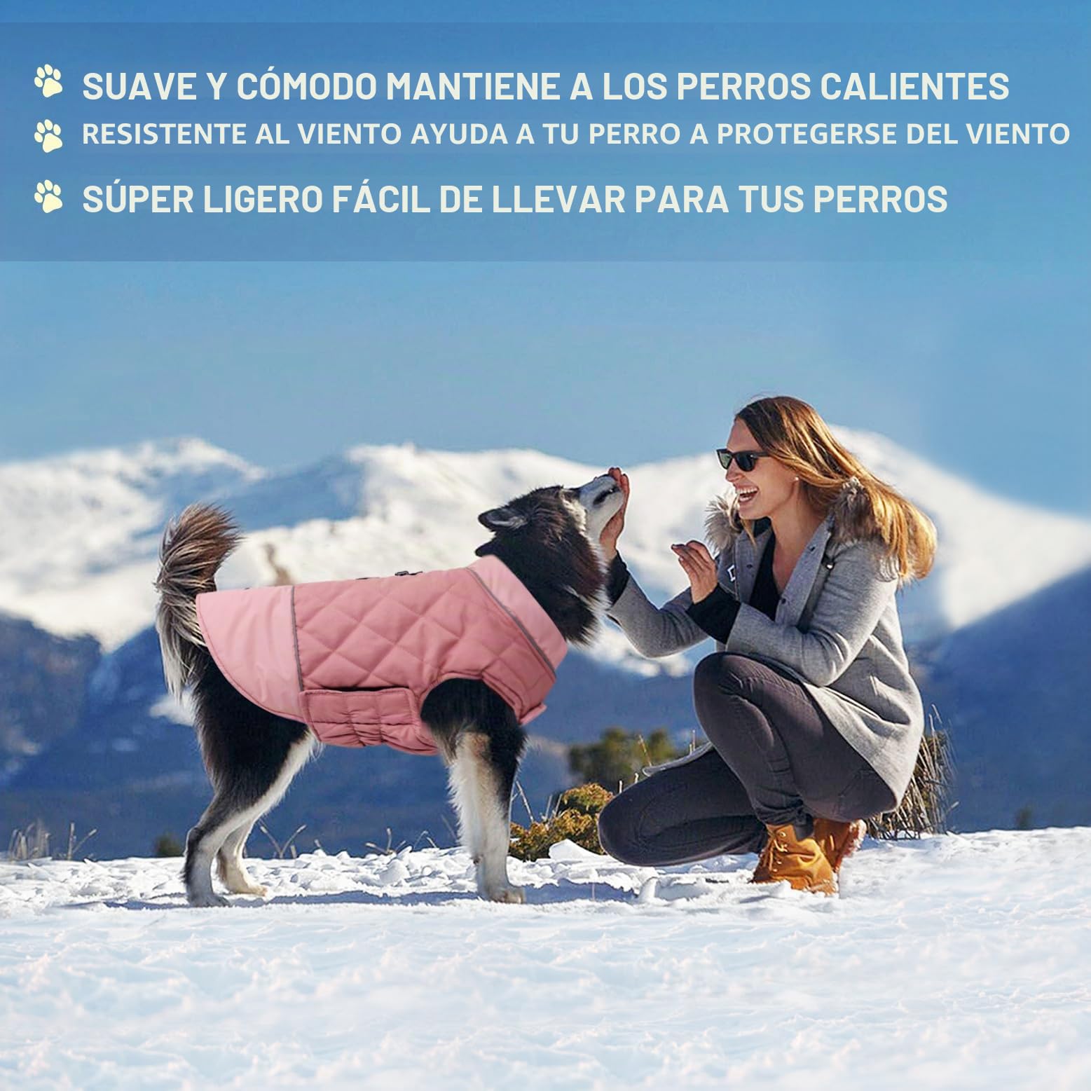 Idepet Abrigo para Perro A Prueba De Viento Chaqueta Cálida De Invierno, Ropa para Perros con Traje De Nieve Anti-Nieve para Perros Pequeños Medianos Grandes con Agujero De Arnés (Rosa, XX-Large)