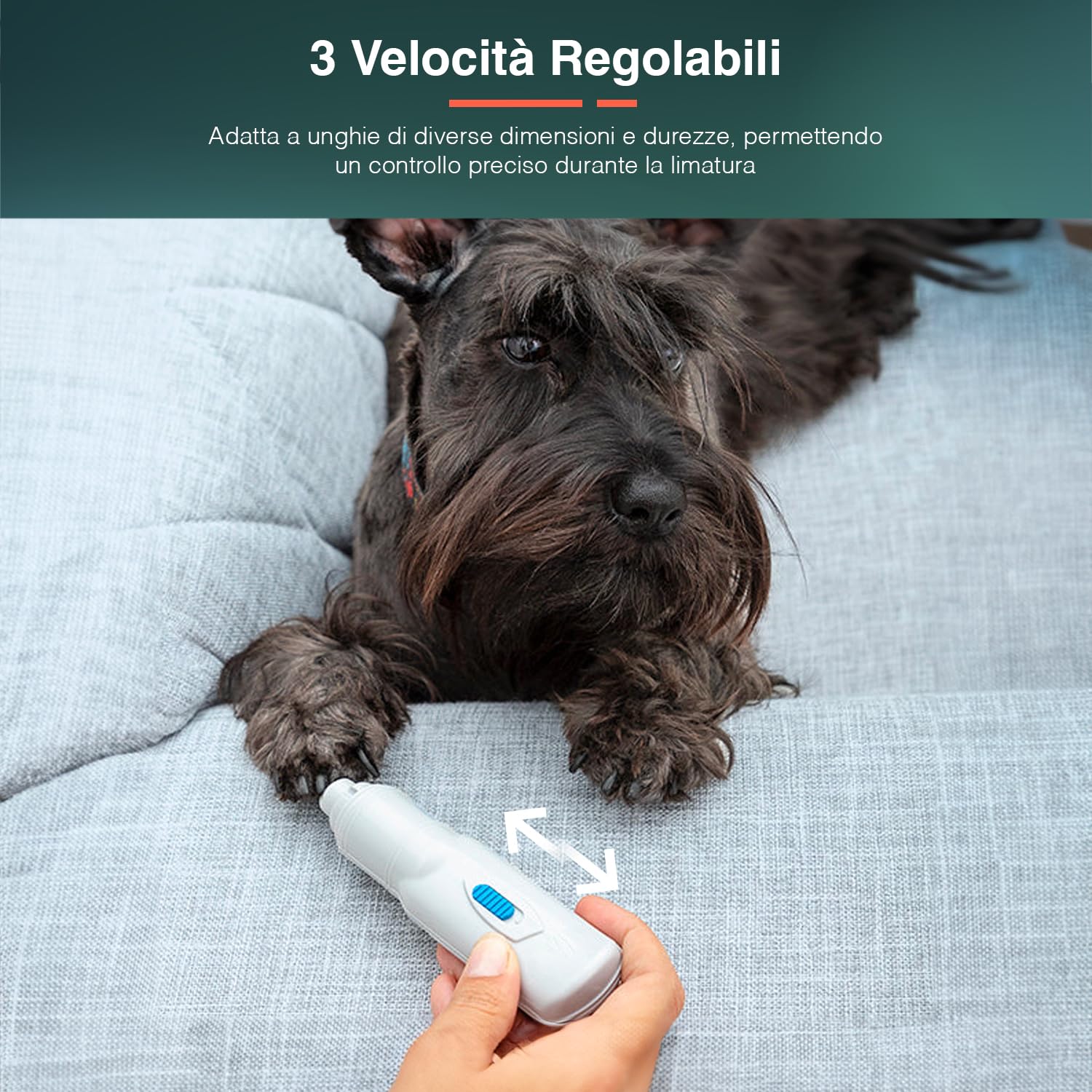 Avilia Lima per Unghie per Animali Domestici, Elettrica - 3 velocità Regolabili, 2 Fessure di Dimensioni Diverse, Adatta a Tutti i Tipi di Animali, Funzionamento a Batterie, in ABS, 3.5x13x3cm