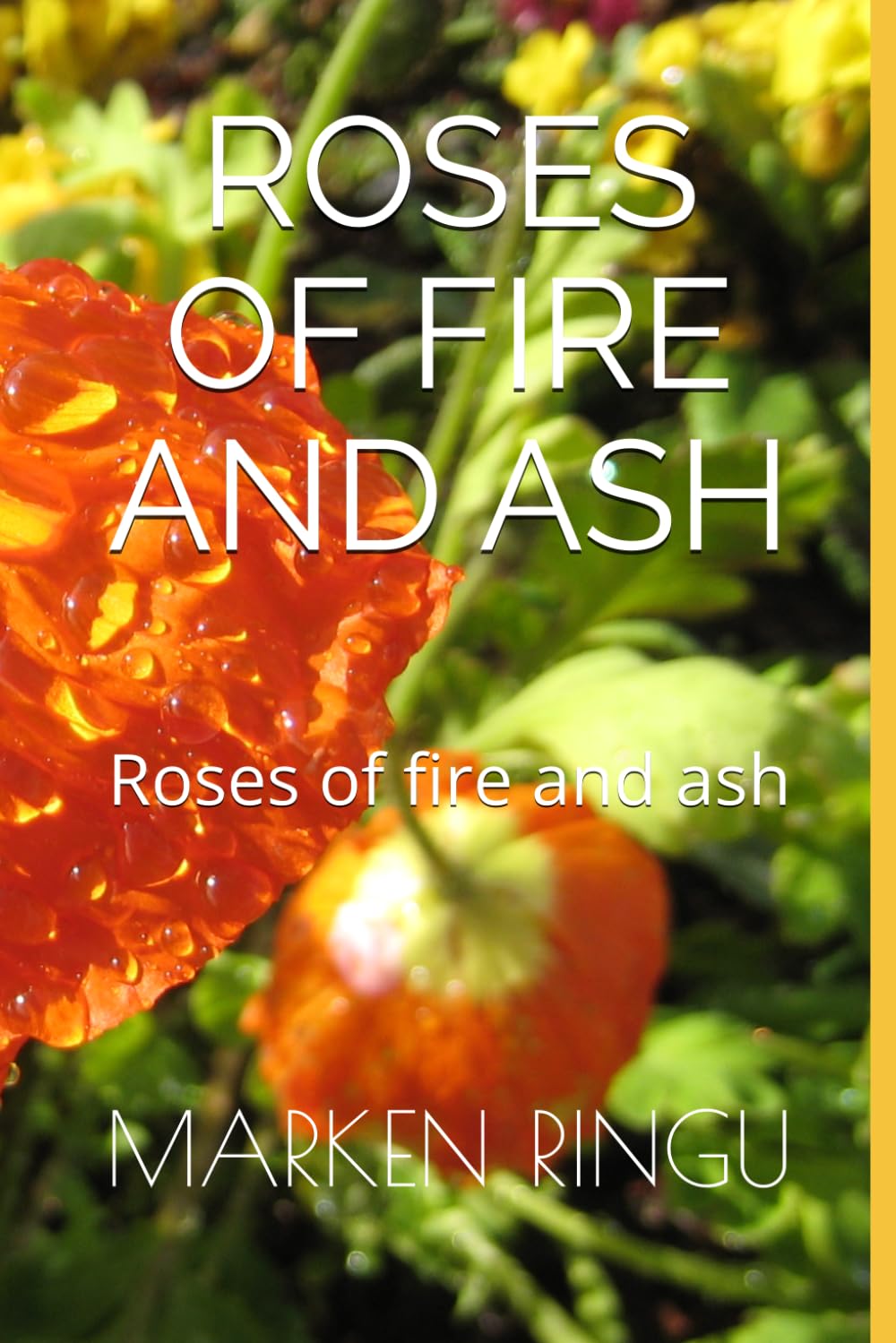 ROSES OF FIRE AND ASH: Roses of fire and ash
