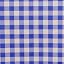 Blue Checkered
