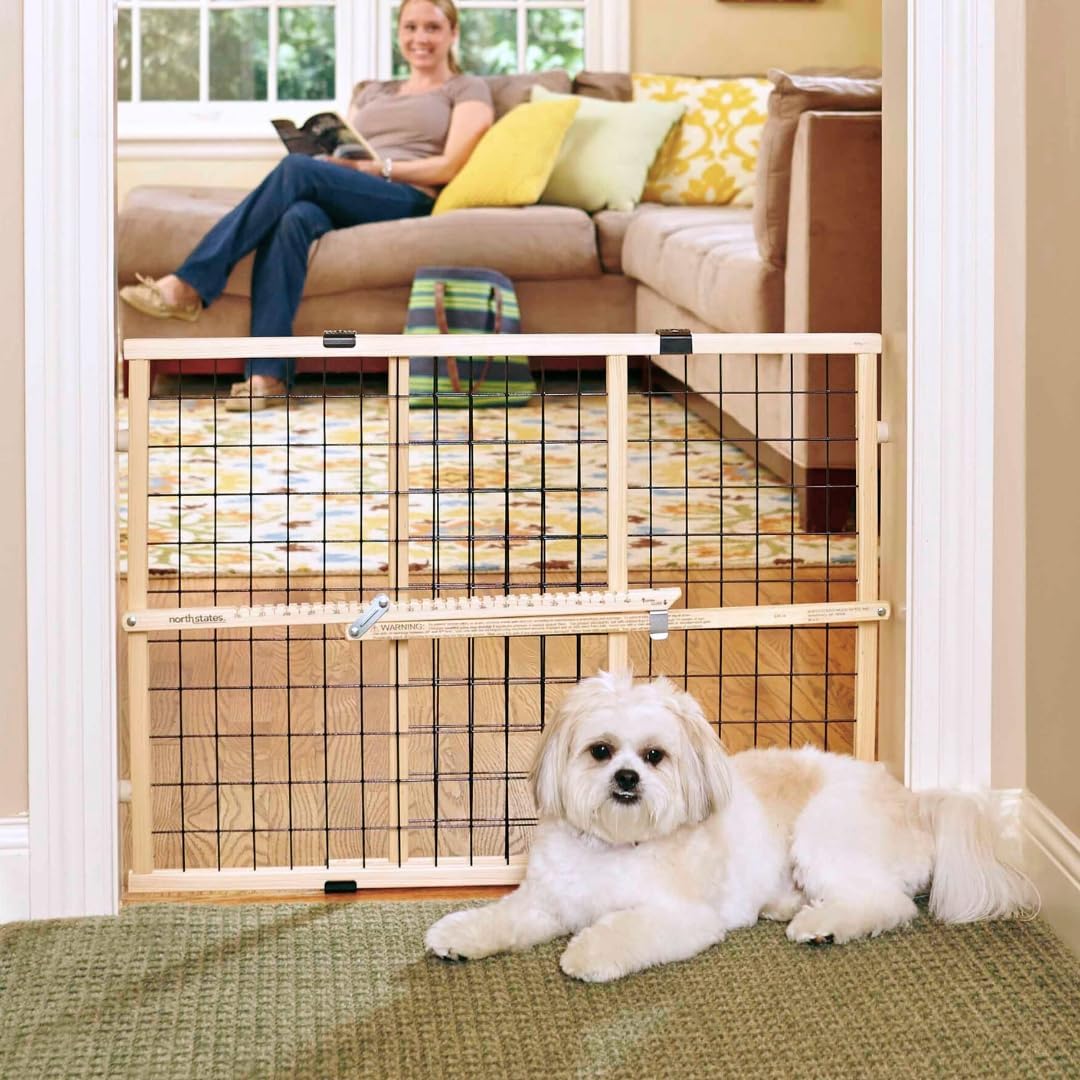 Evenflo Position & Lock Baby Gate, PressureMounted