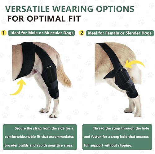 Miniatura 6 de Rodillera para perro para desgarro del ligamento cruzado del ligamento cruzado para perros, soporte ajustable para piernas delanteras y traseras,