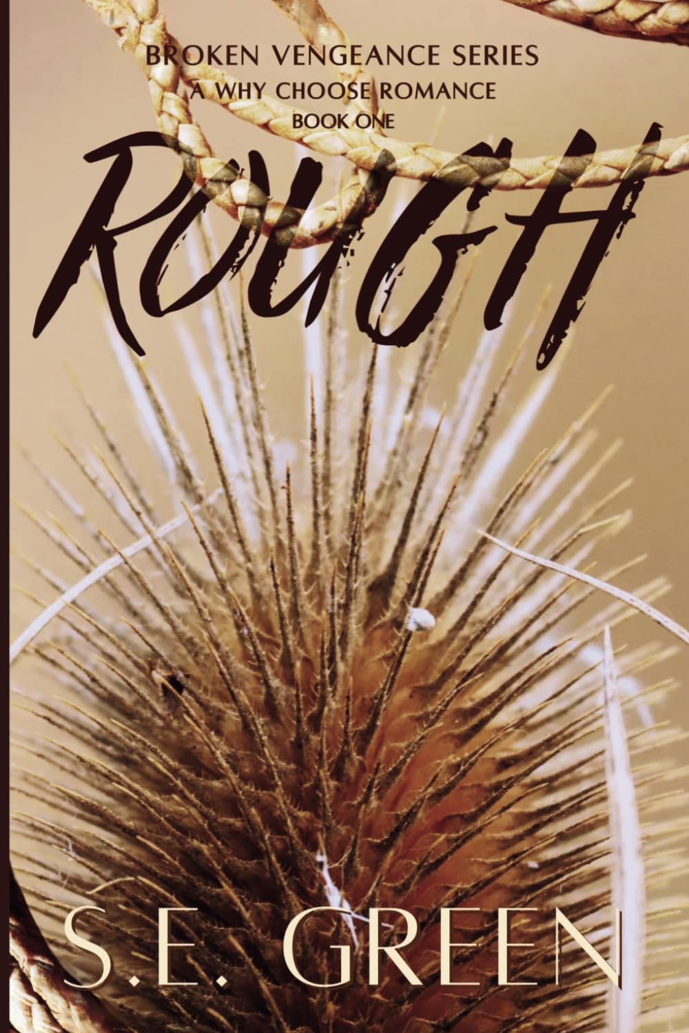 ROUGH: A Why Choose Rancher/Western Romance (Broken Vengeance Series)