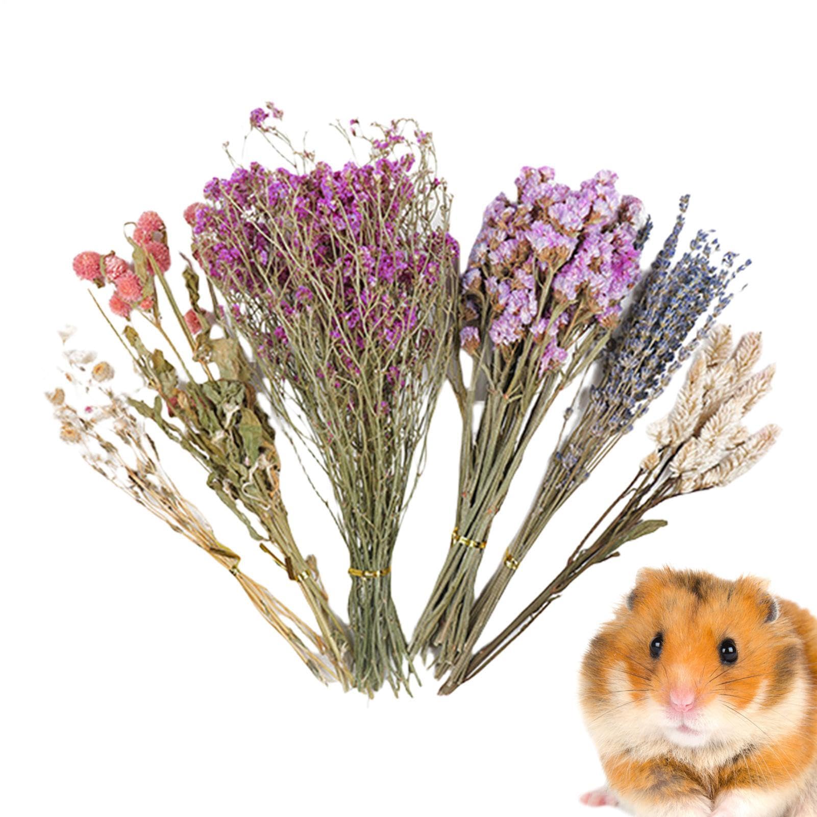 XIQIQI Natural Hamster Bedding Flowers 80g Flower Hamster Bedding Hamste-r Dried Fl-ower Beddin-g Habitat Decor Sprays Set For Hamst-ers, Flow-er Beddin-g Habitat Decor, Hamst-er Accessories