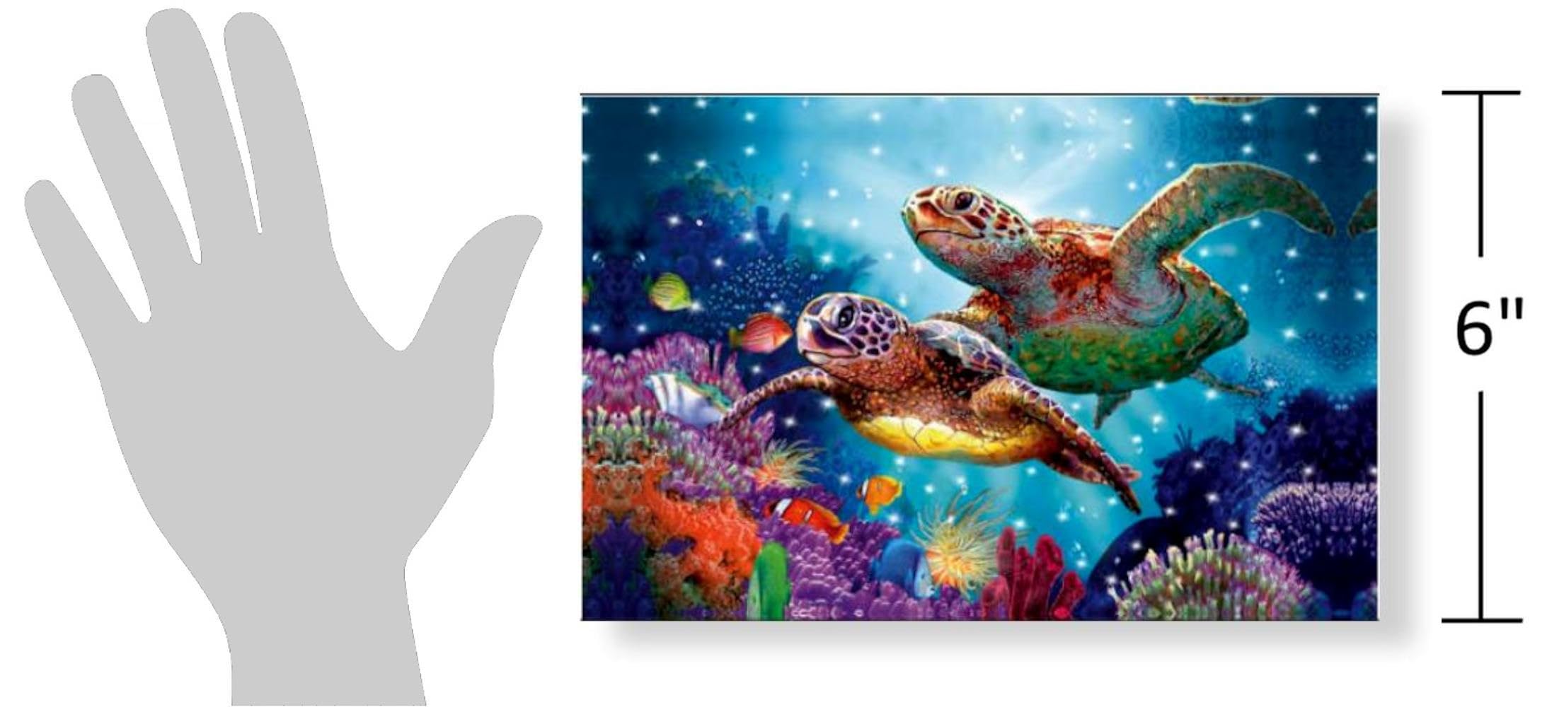 Amazon.co.jp: The Bridge Collection 6x8 海で泳ぐウミガメ LED