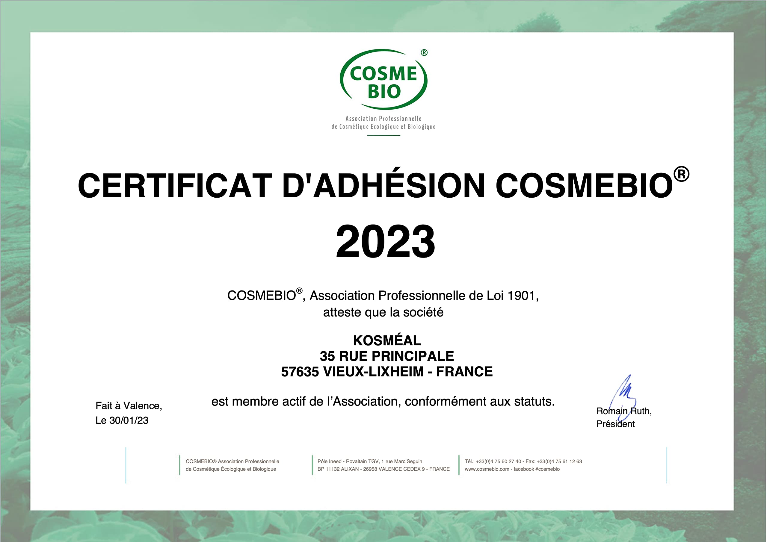 Huile d'Amande Douce BIO | Certifiée COSMÉ BIO et ECOCERT | 500ml