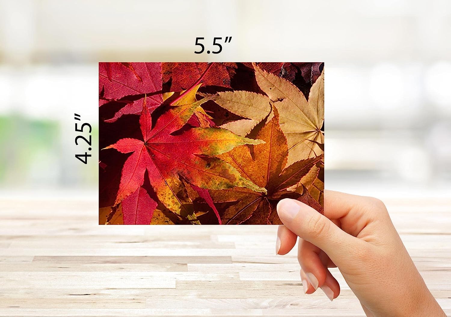 Blanko Herbst-Grußkarten Mit Kürbis-Motiven - 24 Stück, 6 Designs, 14x10,8 Cm, Inkl. Umschläge